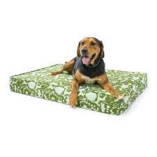 Dog bed shop with largest amount of quality dog beds & dog pillows. Olive Green Light Blue 5 Thick Soft Firm Reversible Gel Memory Foam Orthopedic Dog Bed Eluxury