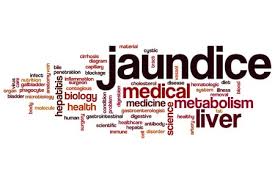 Indian Diet Plan For Jaundice What To Eat In Jaundice