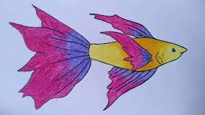 Ikan memilki banyak jenisnya mulai dari ikan hias, ikan laut dan ikan air tawar. Cara Menggambar Ikan Hias Menggambar Ikan Warna Warni Menggambar Ikan Cupang Youtube