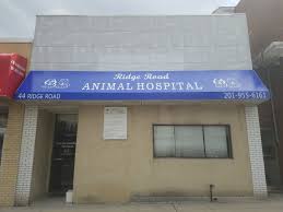 James hester, who is a licensed, experienced arlington veterinarian. Ridge Road Animal Hospital Home Facebook