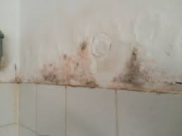 Spachteln / schleifen in, spachteln » der große ratgeber. Feuchte Rigips Wand Im Spritzbereich Der Dusche Streichen