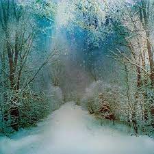 We did not find results for: Mystical Winter Wonderland Winter Scenery Winter Scenes Winter Pictures