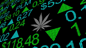 Maybe you would like to learn more about one of these? 10 Marijuana Stocks To Buy For Their Beyond The Flower Plans Investorplace