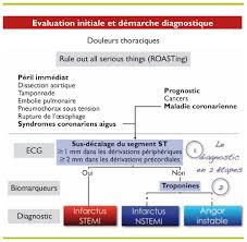 La crise cardiaque ou infarctus du myocarde. Infarctus Myocardique Aigu Importance Du Networking Dans La Prise En Charge Initiale Revue Medicale Suisse