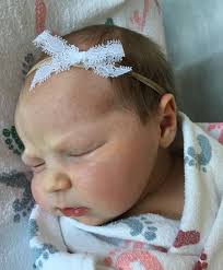 Spruce Grove Newsletter