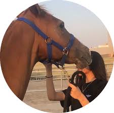 pin by مريم البلوشي on 7 beautiful images nature horse girl photography cute friend pictures