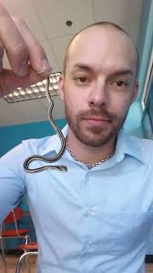 Pittsburgh, PA. Is this an Eastern Ribbon Snake?