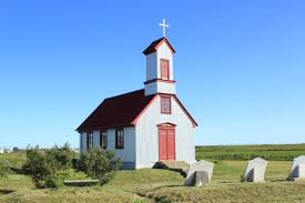 Image result for Tragia kirkiana