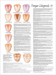 Tongue Diagnosis Poster Tongue Health Herbalism Herbal Medicine
