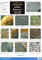 Urban Lichens 2 On Stone And Soil Identification Chart