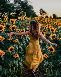 Pin By Mari El Sol Verbel On Sunflower City Sunflower Photography Sunflower Photo Sunflower Pictures