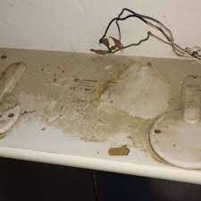 Zentral in rendsburg die wohnung verfügt über. Messie Zieht Aus Wohnung Aus Vermieter Bleibt Auf Kosten Sitzen Syke