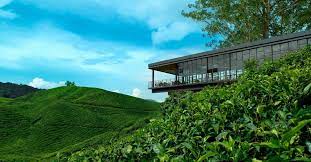 Book our luxury resort in malaysia for a cooling weekend getaway. 35 Tempat Menarik Di Cameron Highland Edisi 2021 Yg Popular