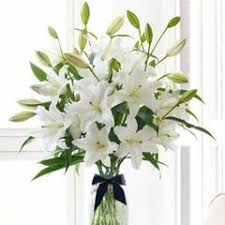 We would like to show you a description here but the site won't allow us. Free Same Day Flower Delivery Milton Online Florist Bloomen Bloomen Inc
