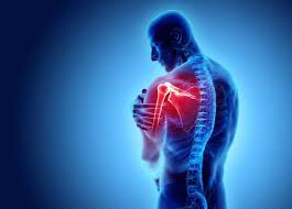 Image result for Rotator Cuff Injury