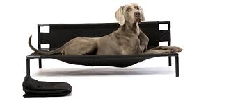 Sign up for uo rewards and get 10. The 10 Best Rated Dog Beds Reviews And Buying Guide 2021