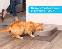 May 31, 2021 · if your cat needs a vitamin supplement but won't swallow pills, mixing a vitamin powder or liquid in her food may be the easiest way to get her to take it. 29 Amazon Products To Solve Your Pet Annoyances
