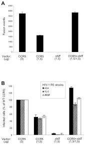 Function, proteins, disorders, pathways, orthologs, and expression. Rescue Of Hiv 1 Receptor Function Through Cooperation Between Different Forms Of The Ccr5 Chemokine Receptor Journal Of Biological Chemistry