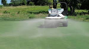251 dickson road marietta, ga 30066. The Goldilocks Principle For Sand Topdressing