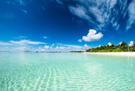 Barbadosweather.org providing quality, reliable weather, news, impact based weather forecasts and ocean information in the cities of christ church, saint andrew, saint george, saint james, saint john, saint joseph, saint lucy, saint michael, saint peter, saint philip and saint thomas. Death In Barbados The Dreamy Caribbean Vacation Icy Cold By Bret Itskowitch Medium