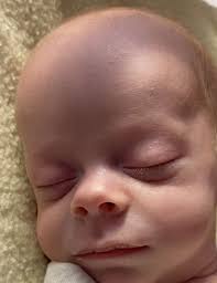 Obituary information for Aiden Thomas Lee Royal