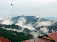 Ipl 2021 संपताच virat kohli ने गाठलं घर, आता पत्नी अनुष्का शर्मासोबत करणार देशाची मदत. Himachal Pradesh Lockdown Latest News Videos Photos About Himachal Pradesh Lockdown The Economic Times