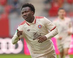 Image result for Nesaea rautanenii