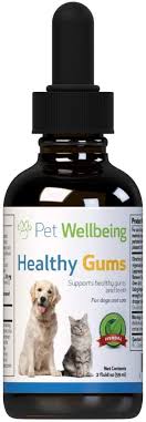 Are essential oils safe for cats? Amazon Com Pet Wellbeing Healthy Gums For Cats Natural Support For For Healthy Gums Teeth And Breath In Felines 2oz 59ml Pet Supplies