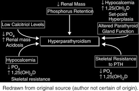 Image result for Hyperphosphatemia
