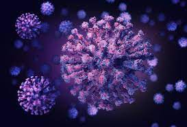 It can also take longer before people show symptoms and people can be contagious for longer. Coronavirus Outbreak Live Updates Live Science