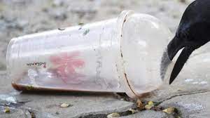 Revealed Australian State Where Plastic Coffee Cups Will Be Banned By Next Year 7news Com Au In 2021 Plastic Coffee Cups Coffee Cups Take Away Coffee Cup