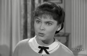 Perry Mason" The Case of the Lazy Lover (TV Episode 1958)