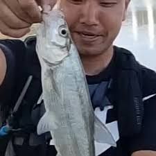 ᐅ Kanpo Chon fishing reports🎣• Gyeonggi Province, Korea, South fishing