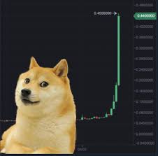 Consider buying some poocoin to support the site and gain premium features. Tsar Audi Tsaraudi Twitter