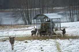Saint-Brisson (58). Maison du Parc : les daims finiront leurs jours à la  fondation Brigitte Bardot