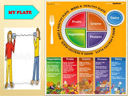 my plate my pyramid and food guide pyramid