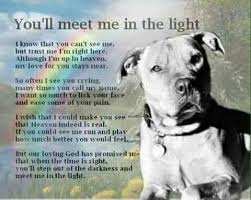 You Ll Meet Me In The Light Dog Poems Dog Quotes Pet Grief