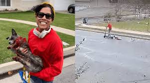 Sign The Petition Calling For Justice For Zebra The Dog Who Was Cruelly Dragged Down The Street Behind An Electric Scooter In Bakersfield C Poor Dog Security Cameras For Home Women
