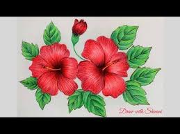 Easy realistic hibiscus flower drawing. Hibiscus Sketching Using Pencil Colors How To Draw Hibiscus Flower Drawing Laura Blog Hibiscus Flower Drawing Flower Drawing Images Realistic Flower Drawing