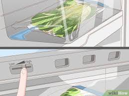 Squeeze out excess water—they only need to be damp, not soaking. How To Keep Lettuce Fresh 8 Steps With Pictures Wikihow