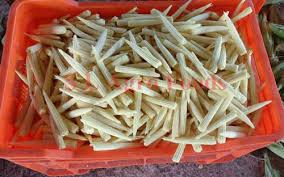 Frozen Baby Corn S L Agro Foods