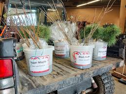 Celebrate Arbor Day with our seedling giveaway