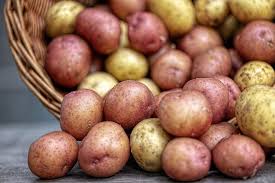 Check spelling or type a new query. 6 Best Juices For Gastritis The Calm Gut