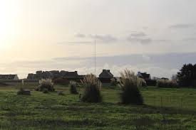 Et cette herbe s'invite progressivement. L Herbe De La Pampa Environnement Et Patrimoine Kerlouan