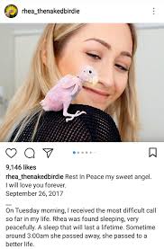 Is the bird in the image okay?