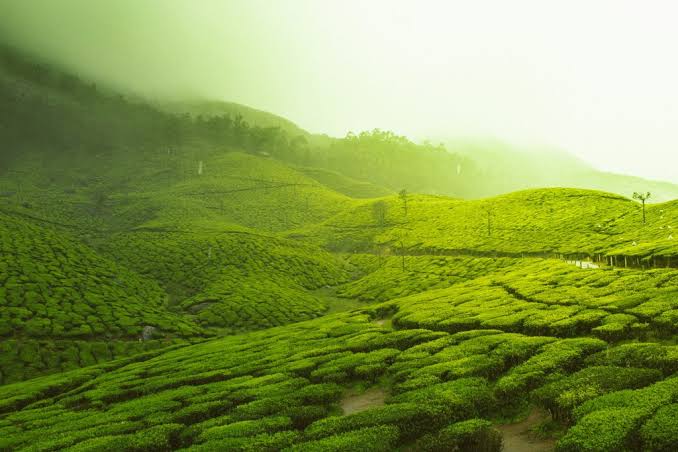 Sri Lanka: A Journey Through History, Landscapes, and Timeless Culture - The Travellers
