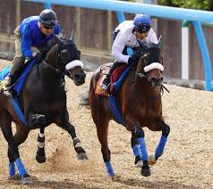 クイーンステークス 予想 データ コース ⇒東京オリンピックの熱い戦いが注目を集める昨今だが、競馬界の夏の女王決定戦も負けてはいない！ ã‚¯ã‚¤ãƒ¼ãƒ³s ãƒžã‚¸ãƒƒã‚¯ã‚­ãƒ£ãƒƒã‚¹ãƒ«ãŒä¸»å½¹ å®Ÿç¸¾ã§å¤§ãããƒªãƒ¼ãƒ‰ ã‚¹ãƒãƒ‹ãƒ Sponichi Annex ã‚®ãƒ£ãƒ³ãƒ–ãƒ«