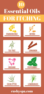 Check spelling or type a new query. 10 Essential Oils For Itching According To Science And More Itchy Skin Remedy Essential Oils Rosemary Essential Oils For Skin