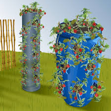 Et au milieu, coule l'eau : Construire Une Tour A Fraisiers Ooreka