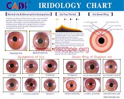 How To Reading The Iridology By Color Iriscope